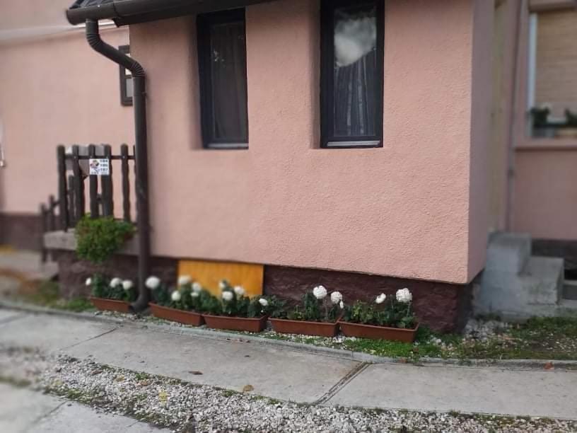 Malomtavi Vendeghaz Tapolca Hotel Luaran gambar